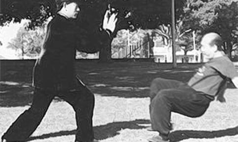 Le qualità fondamentali del Tai Chi: dall’adesione all’emissione