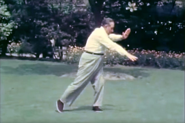 forma nel Taijiquan
