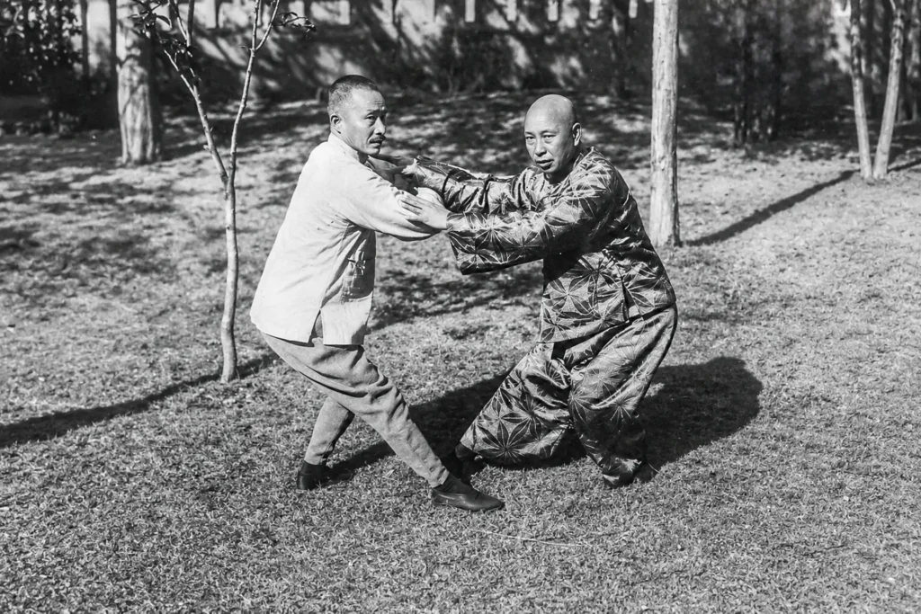 tian zhaolin biografia