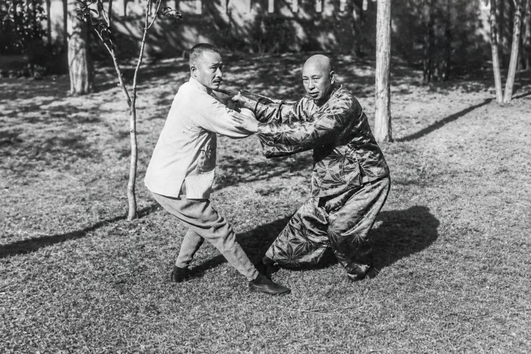 tian zhaolin biografia