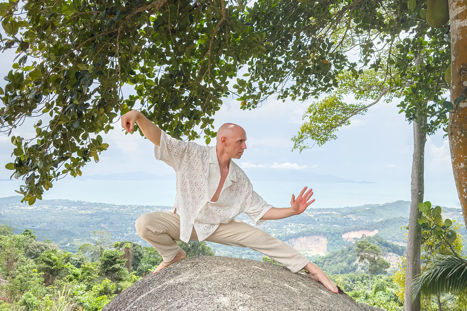 forma taichi yang