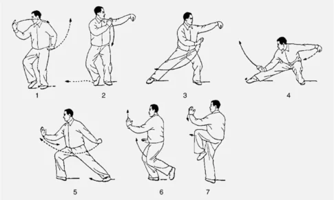 Tutto sulla forma 108 Tai Chi creata da Yang Chengfu