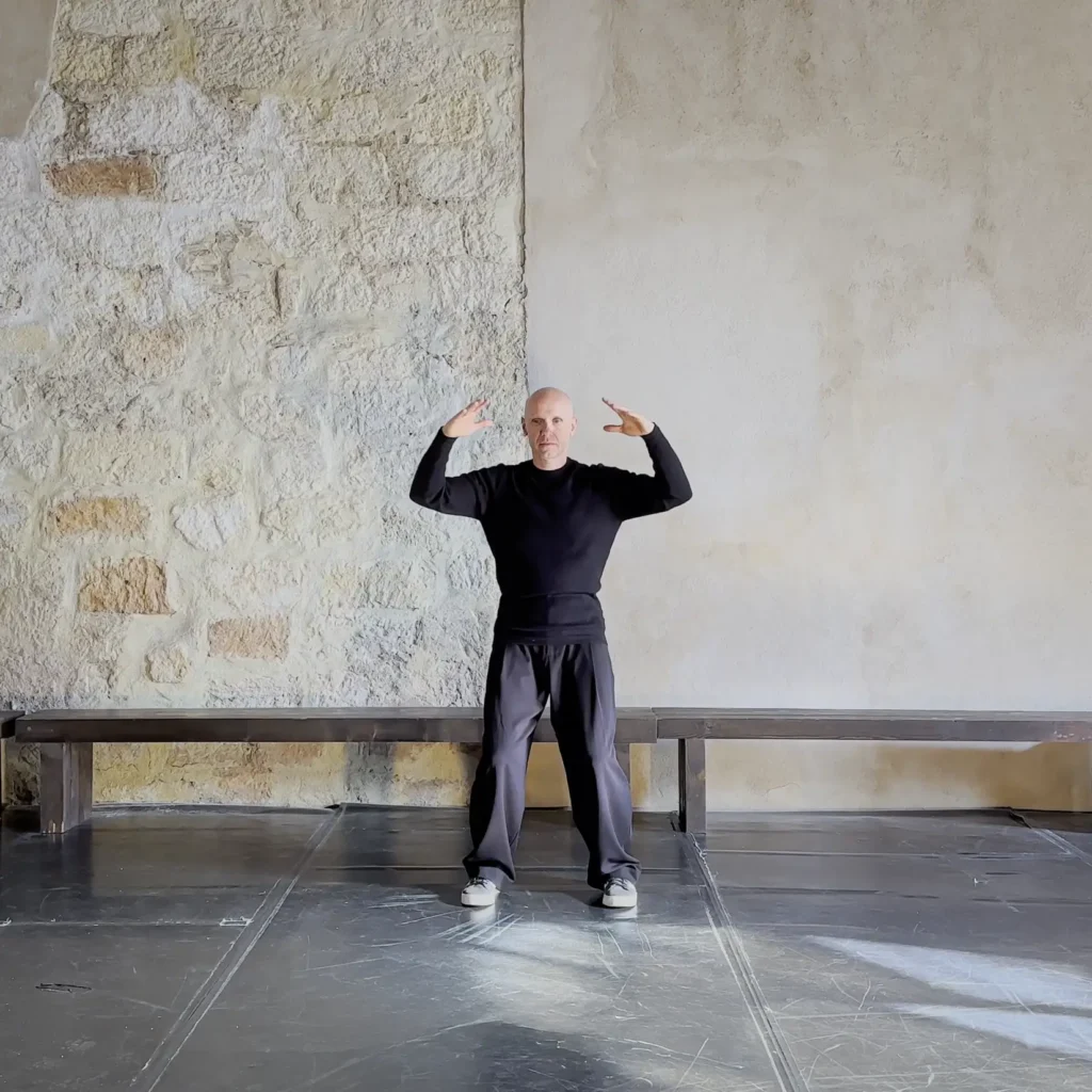 Qi Gong dei 5 elementi