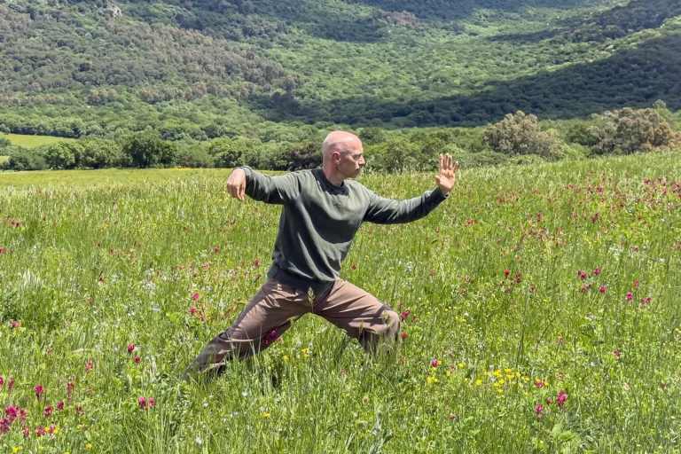 Tai Chi metodo