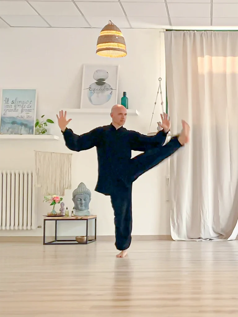 Corso-Tai-Chi-online-dal-vivo_Taiji-Gate_Valerio-Bellone