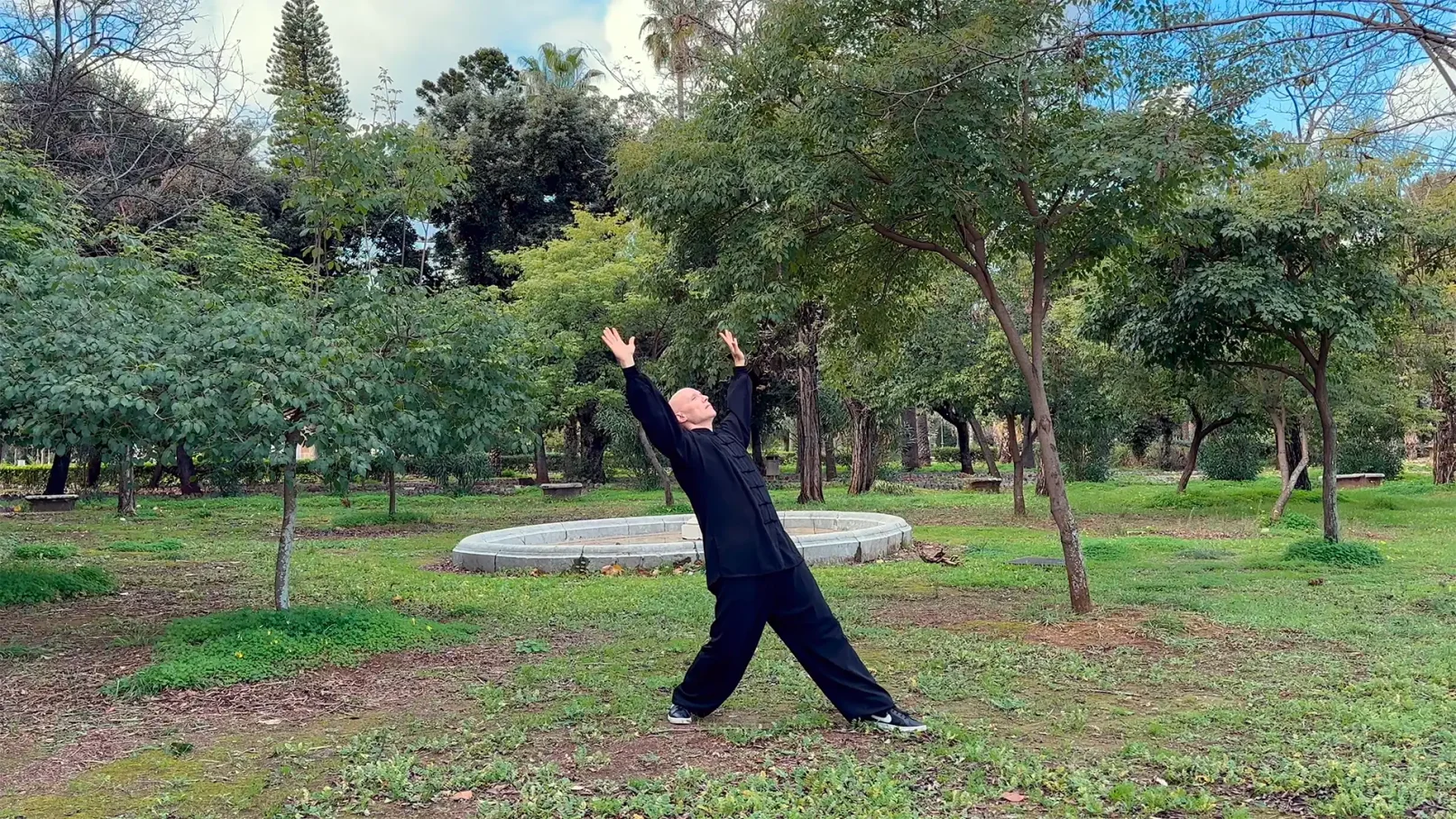 Video corso Qi Gong della lunga vita